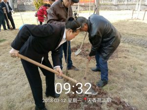 天香苑6