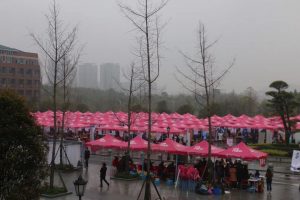 宣讲会3