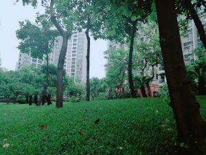 微信图片_20180611090400