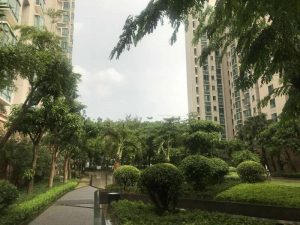 微信图片_20180611090422