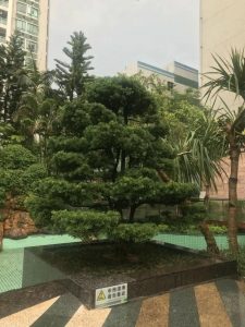 微信图片_20180611090435