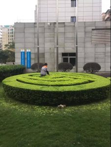 微信图片_20180625085542