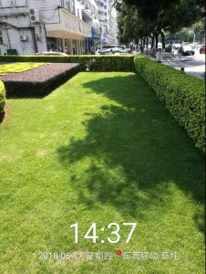 微信图片_20180625085547