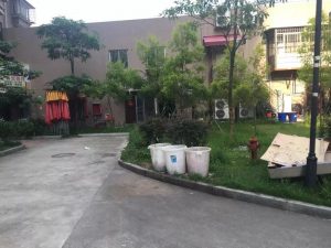微信图片_20180813101528