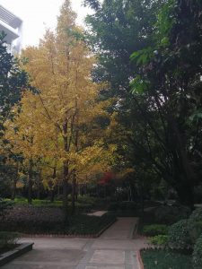 微信图片_20180917085602