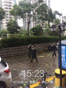 微信图片_20180925090551