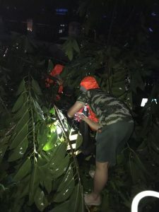 微信图片_20180925100953