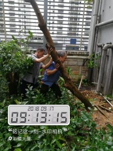 微信图片_20180925101021