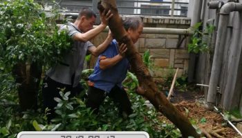 微信图片_20180925101021