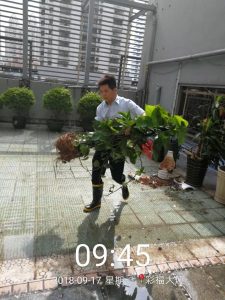 微信图片_20180925101026