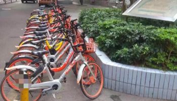 微信图片_20181119085329