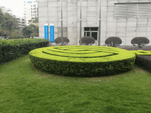 微信图片_20190128094339