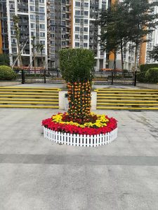 微信图片_20190201170823