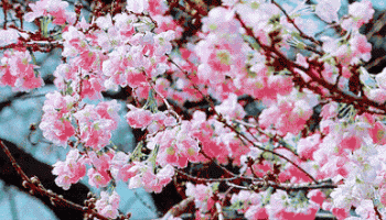 微信图片_20190311083515