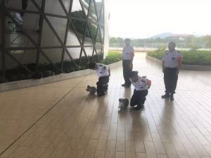 微信图片_20190924093814