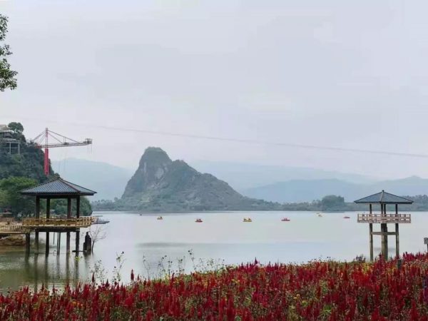微信图片_20191107083653