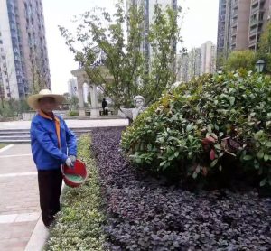 微信图片_20191120113110