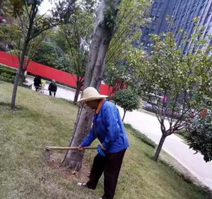 微信图片_20191120113112
