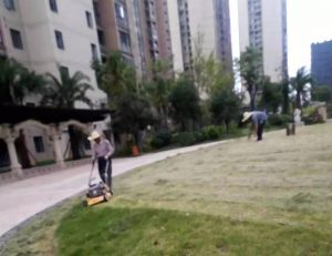 微信图片_20191120113117
